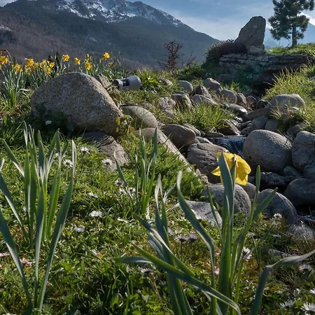 T2 Sud, Calme, Proche Saint-lary, 4 Pers. - Fr-1-296-523 *